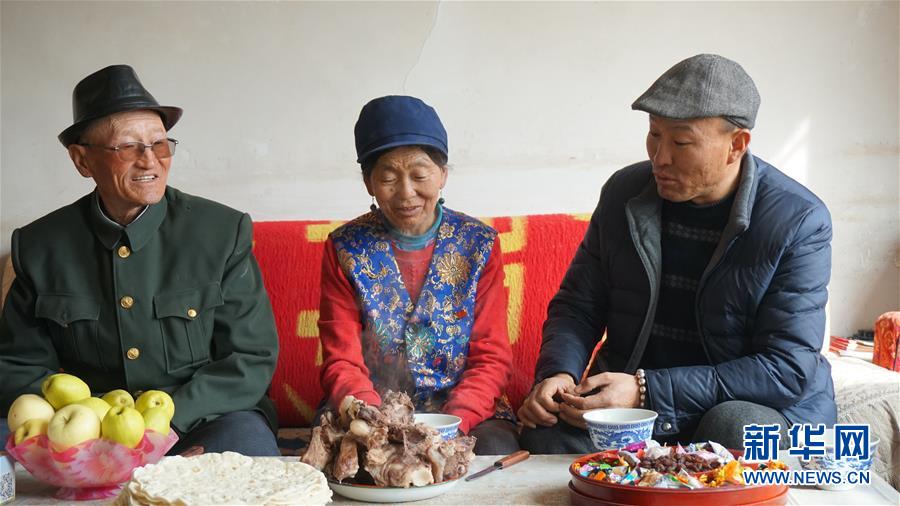 動感小貓