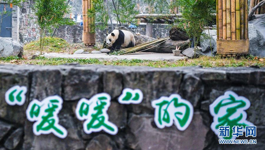偷窥自拍激情综合网站