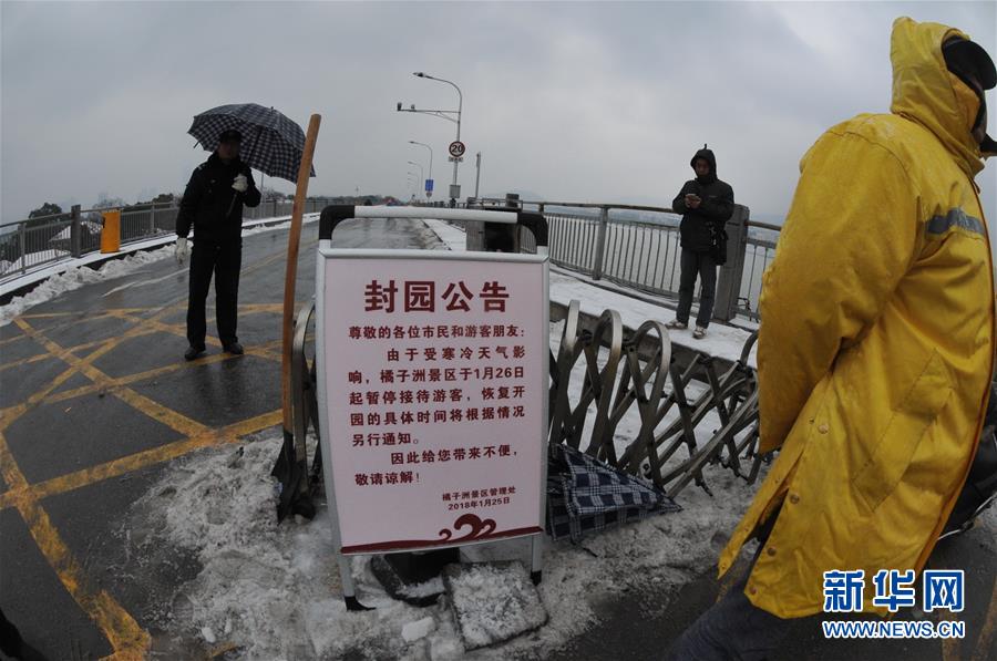 美女劈叉