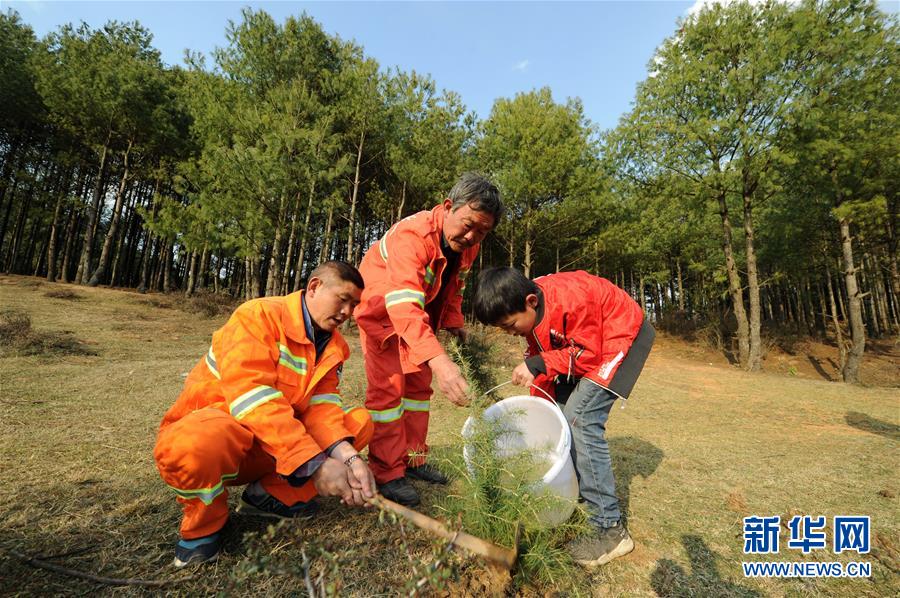 厨房掀开馊了裙子挺进去电影