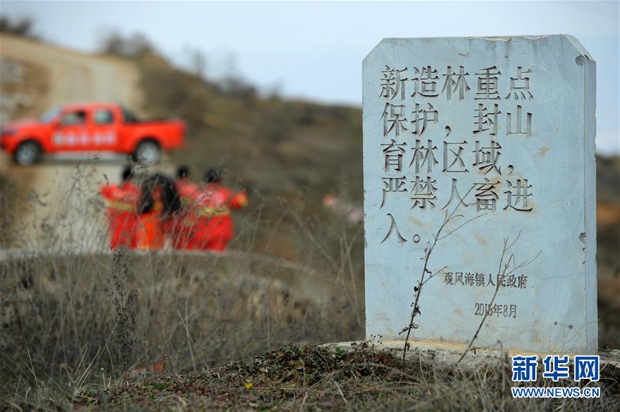 男女交性视频无遮挡全过程