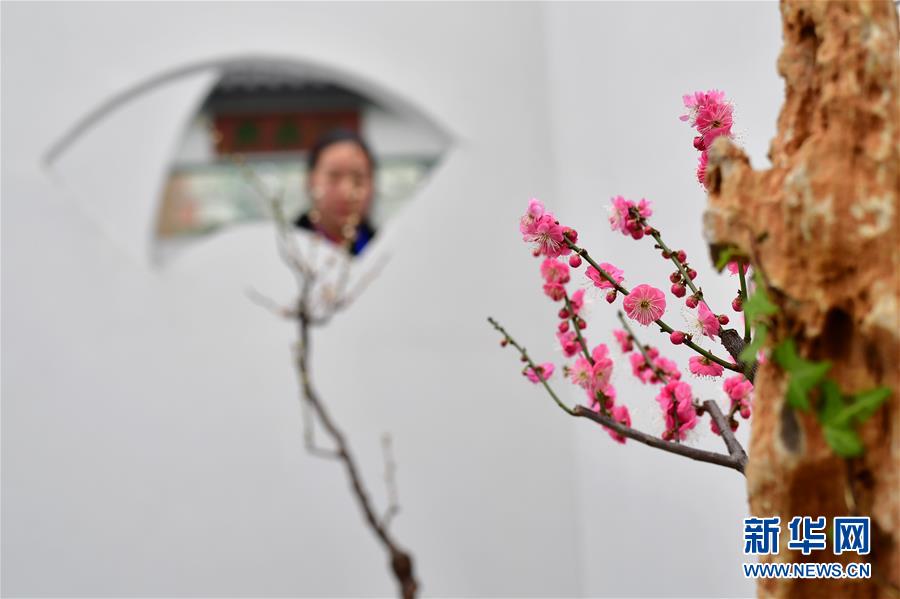 黄色的视频，潘金莲