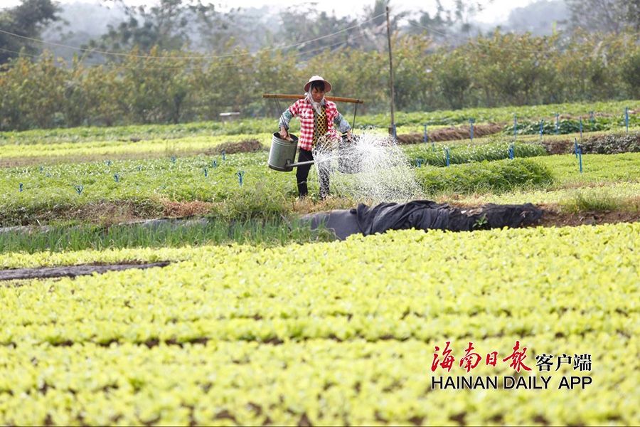 阴环