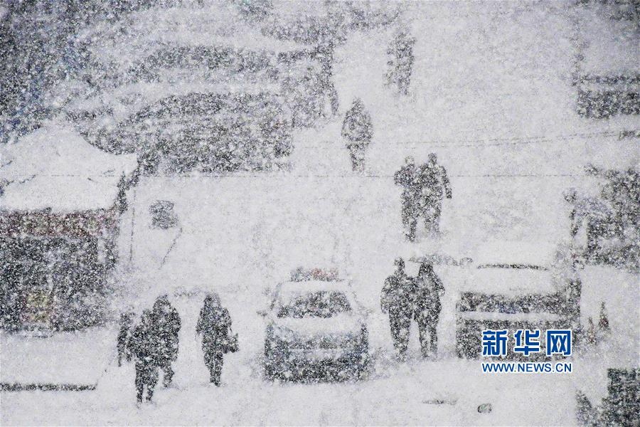 中老年人黄色视频看看