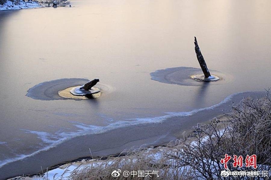 蝴蝶姊姊