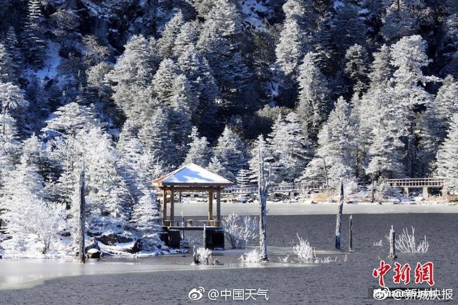 国产又粗又猛又黄又爽无遮挡