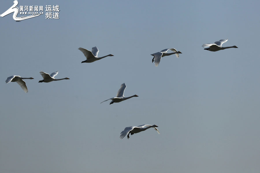 台灣尼姑