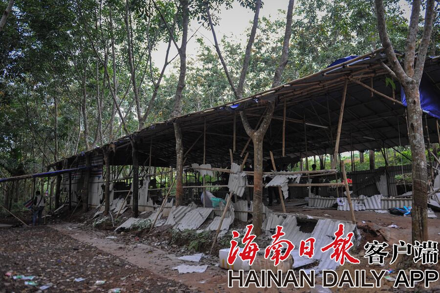 台灣尼姑