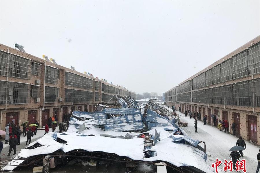 龍后