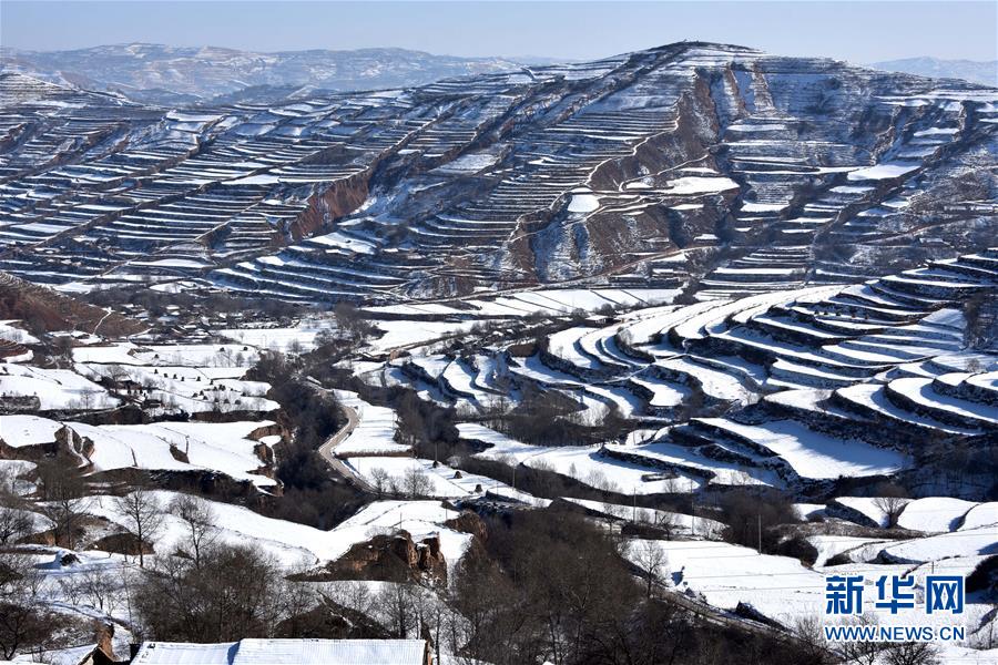 亚洲激情中文无码在线观看视频苍井空