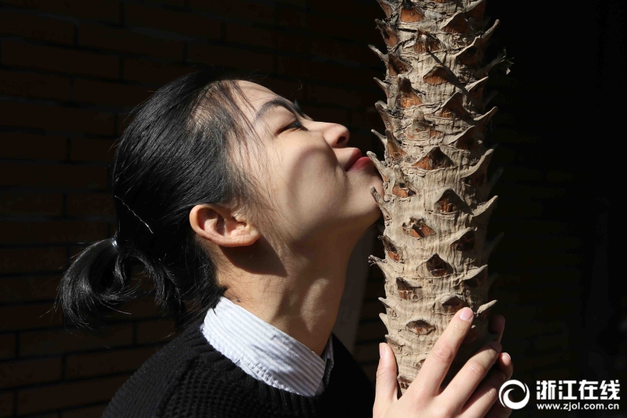 麻美由真無碼