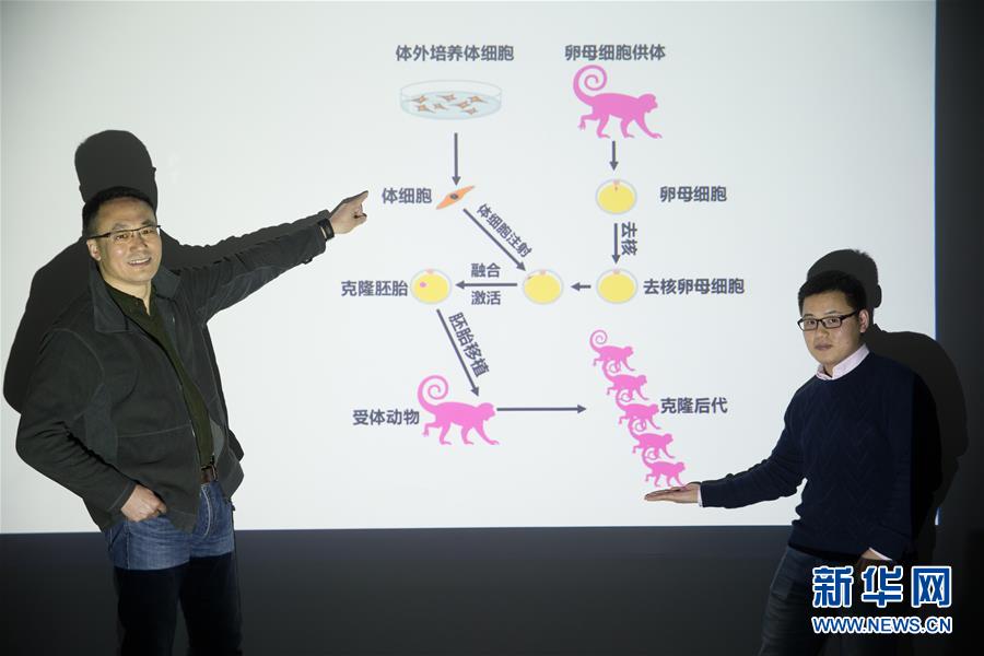 足控脚 Xx免费网站-百度