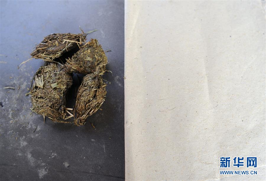 米歐