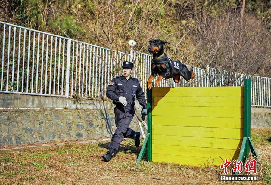 秋霞三级伦电影