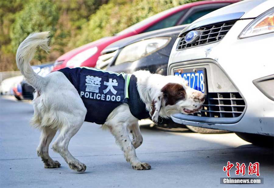 孕妇黄色一级毛片电影
