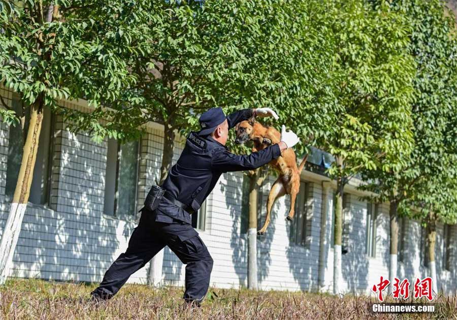 在学校用跳蛋自慰