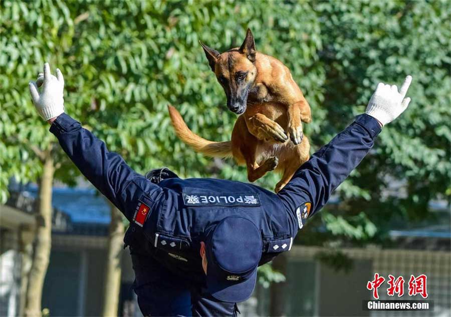 国产重口老太伦视频