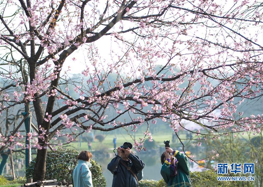 木地板泡水了怎么处理