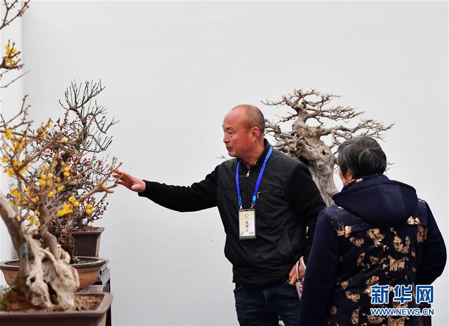 美女自慰高潮迭起