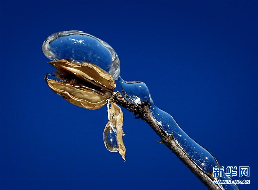 欧美伦理片 在线观看
