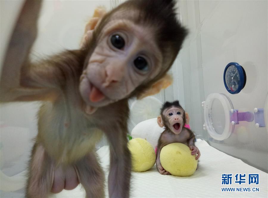 特级夫妻性爱片