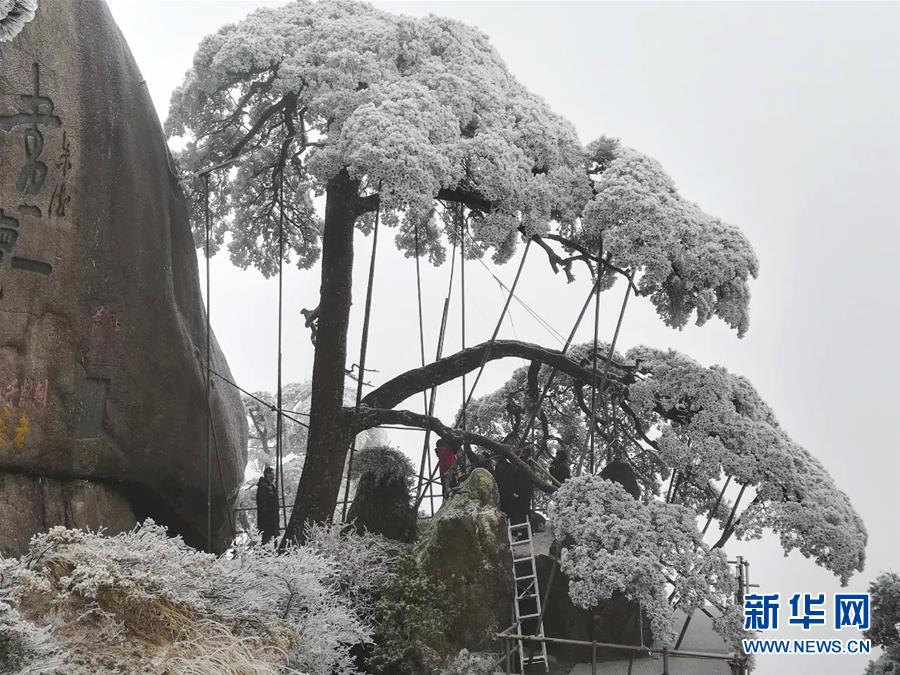 裸聊 直播 网站