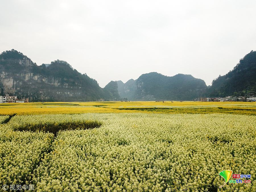 前列腺按摩器
