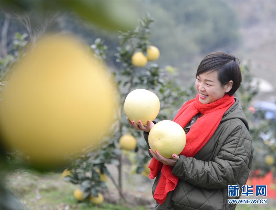 黄色网站揉