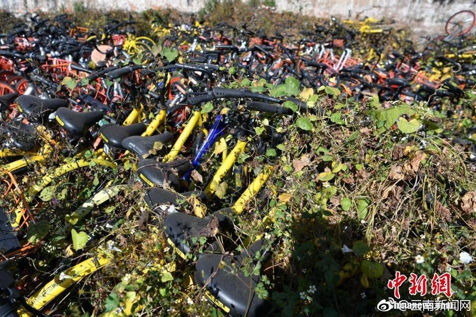 殴美黄色片