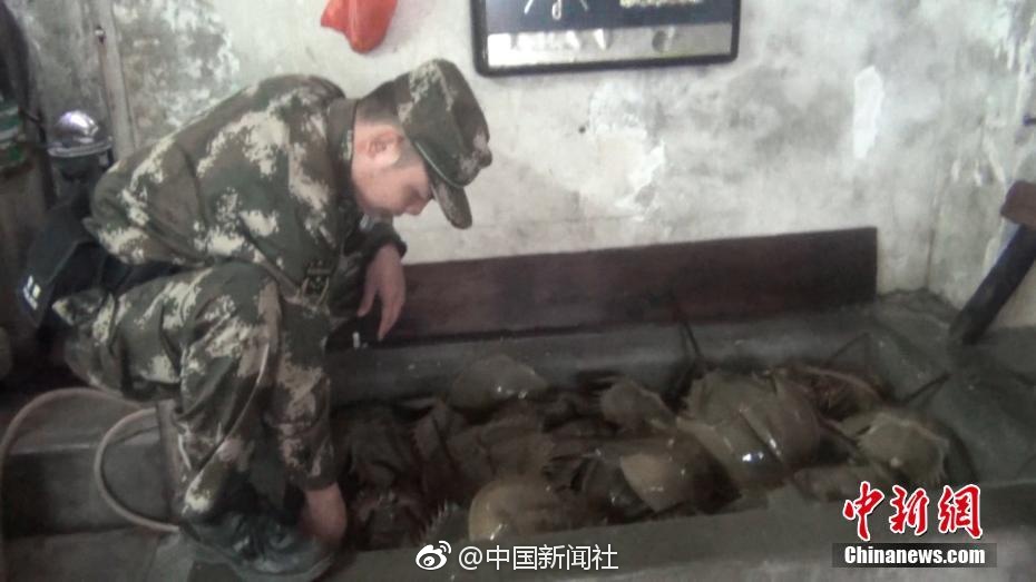 男男18禁动漫网站