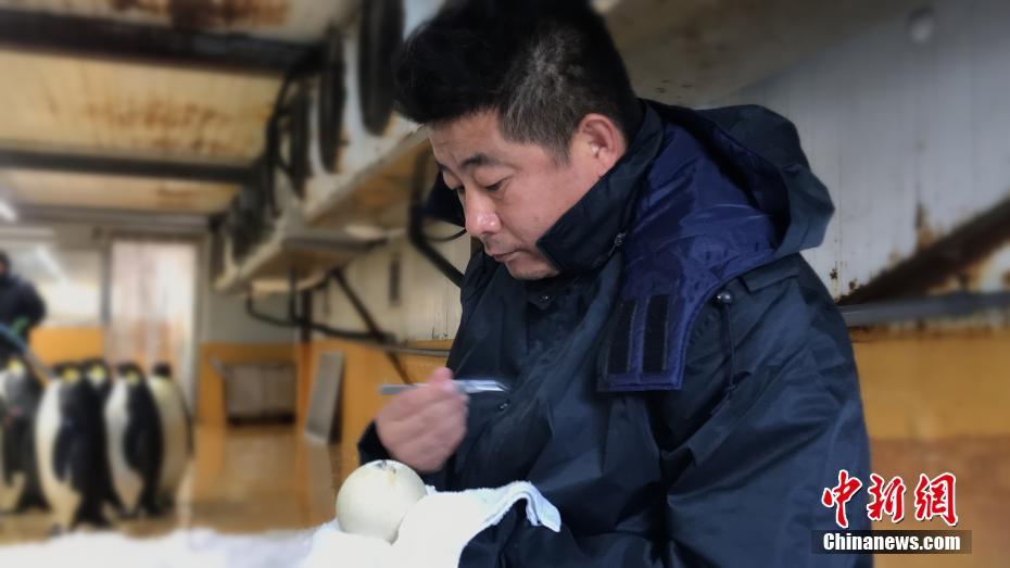黑人巨大进入范冰冰