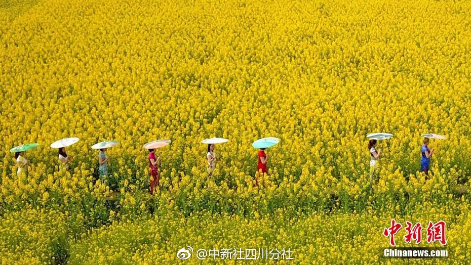 裸体美女网站视频