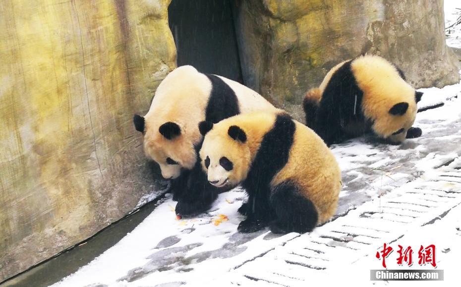 亚洲视频中文字幕
