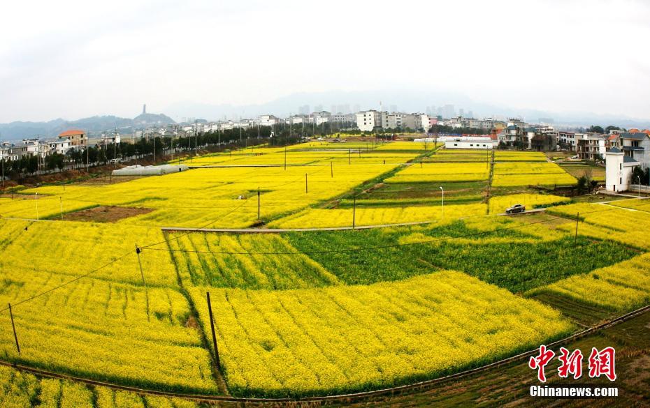 亚洲欧洲一区二区三区