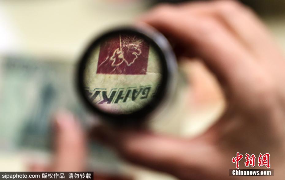 王钟瑶黄网视频