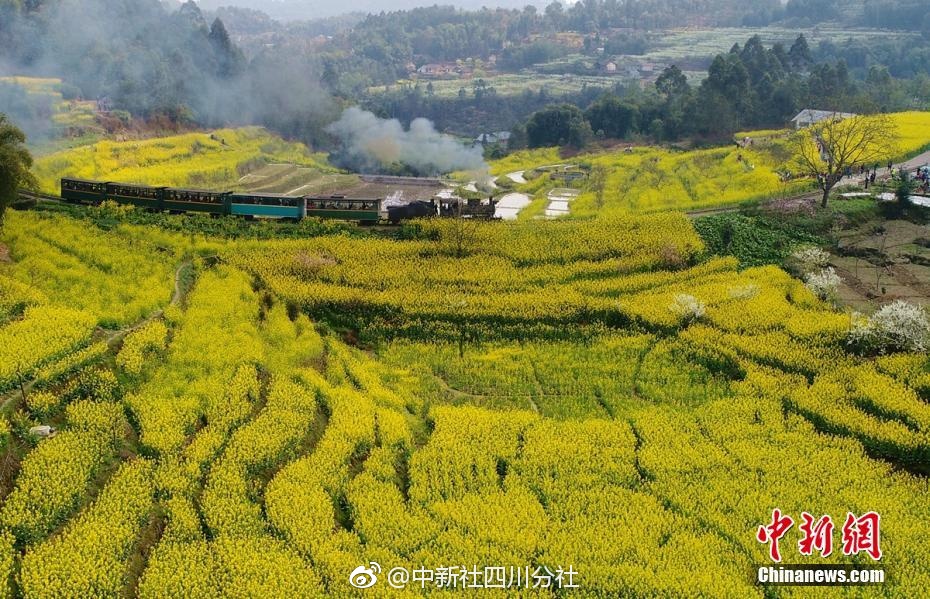张柏芝 陈冠希一级毛片