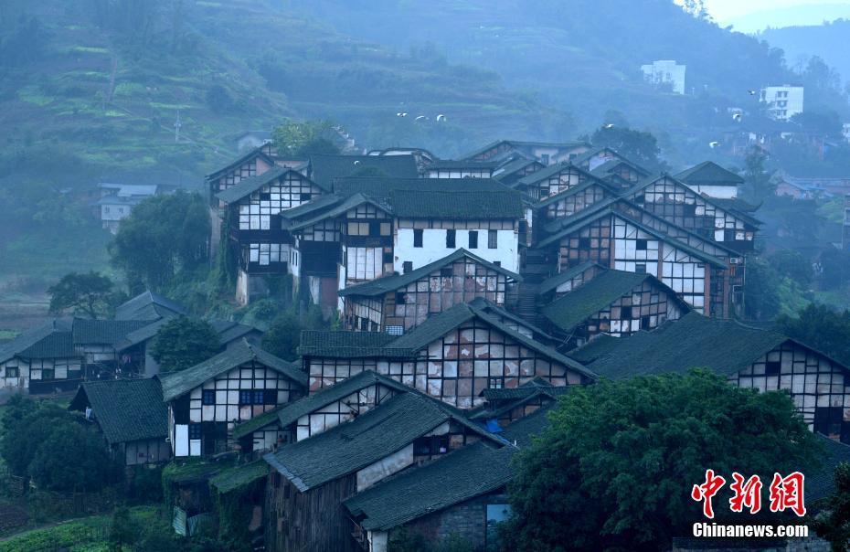 Av媚药