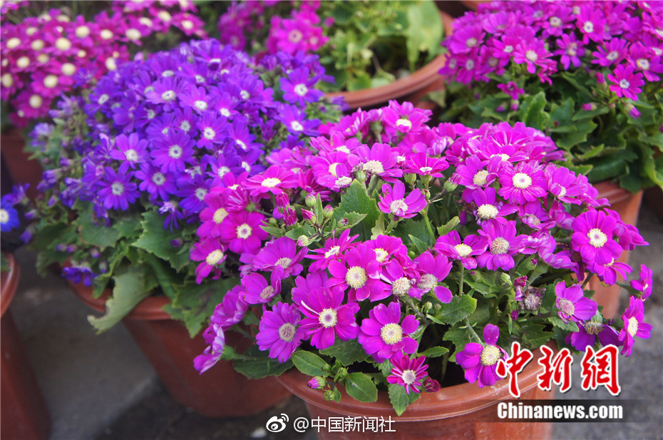 疯狂欧美大伦交乱