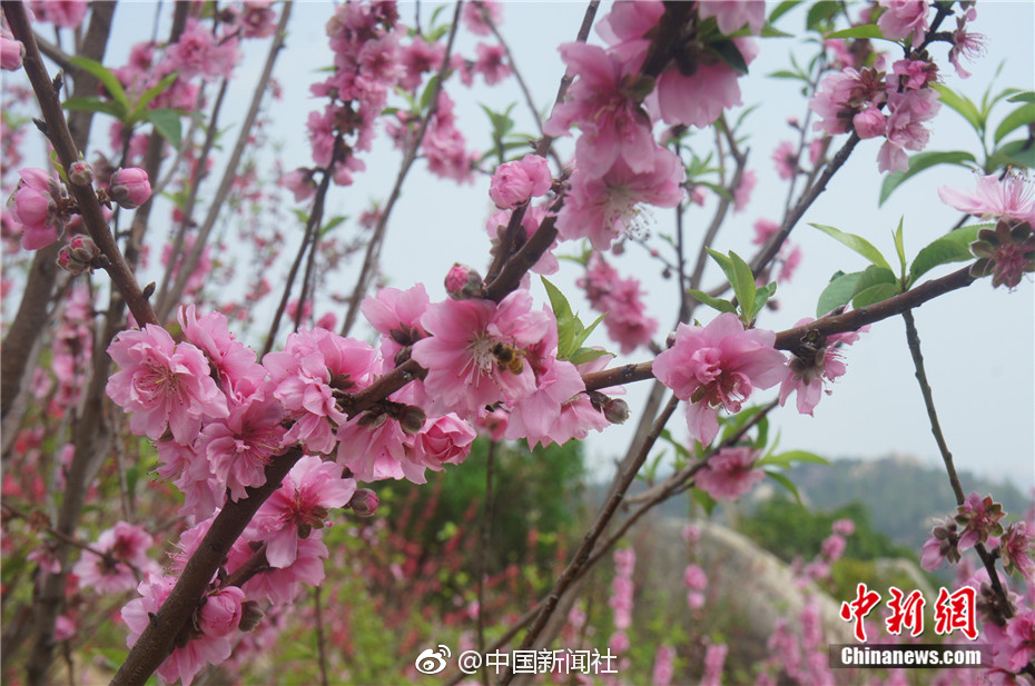 小三的奶又大又嫩又紧
