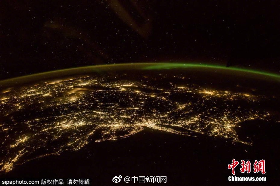 黄色网网址在线观看