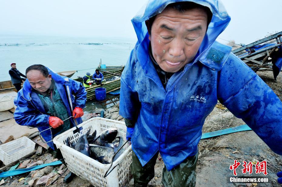 孙子操奶奶到筋疲力尽