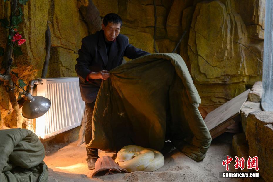 足控吃脚 Xx免费网站