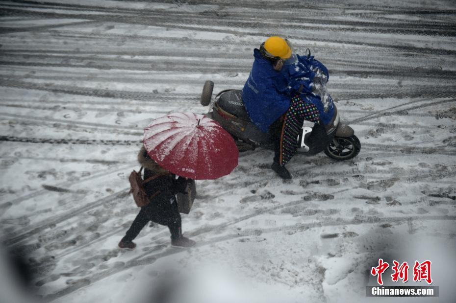 校花莹莹和流浪汉老头的小说