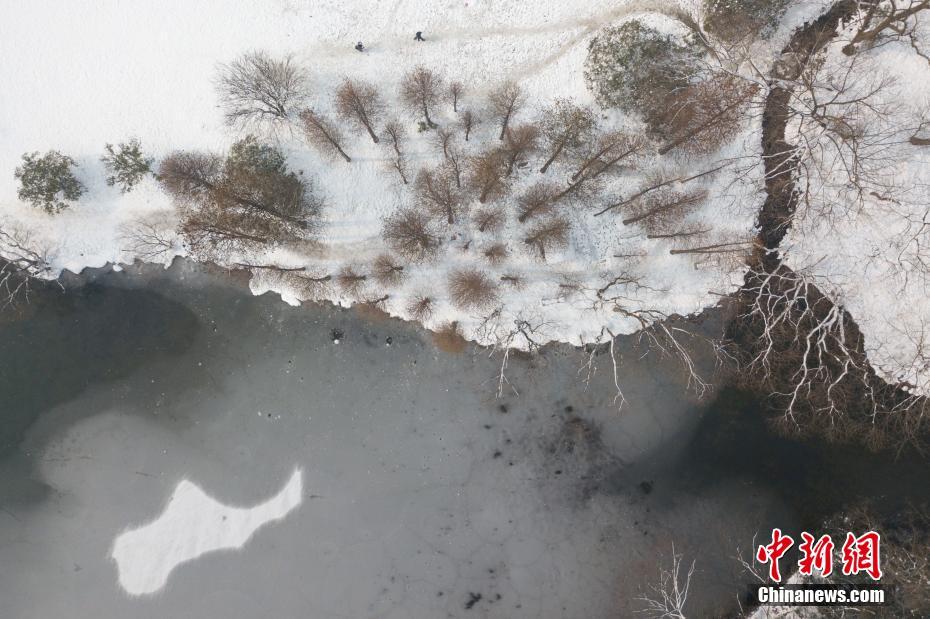 音梓无码