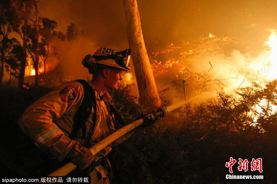 欧美老妇Zozo另类