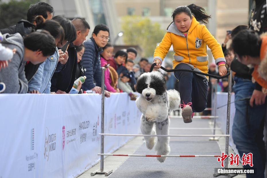 黄色视频在那看