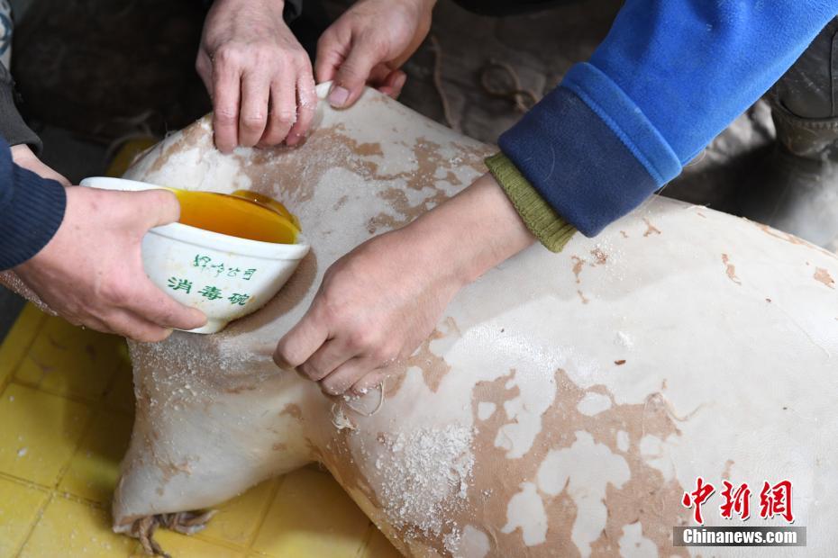 免费 黄色 网站 在线 观看