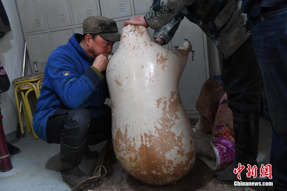 免费黄色网站影音