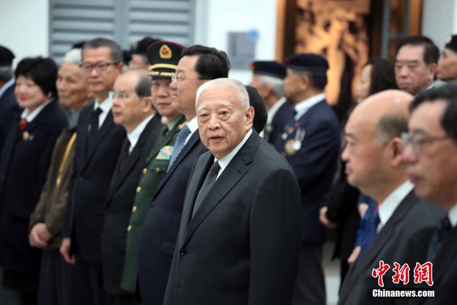 雷电将军安慰模拟器