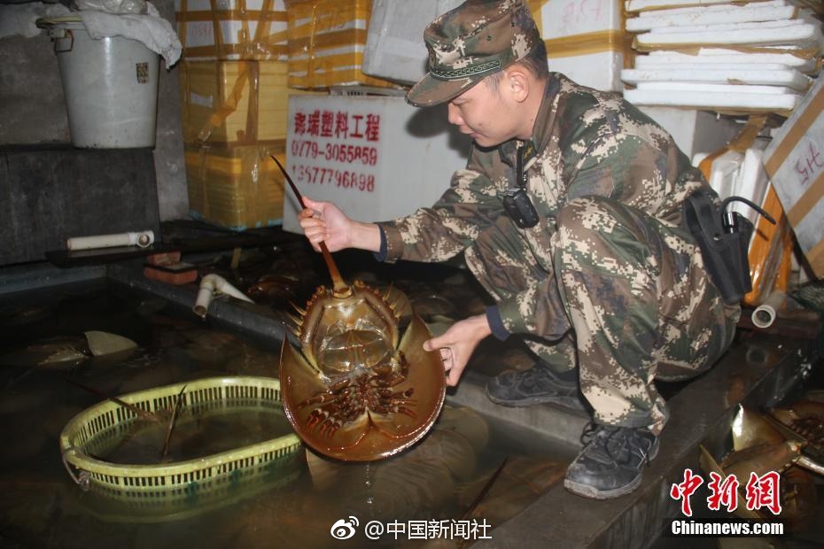 好爽 要了 再深点视频